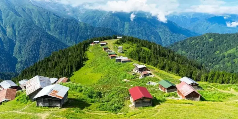 Karadeniz'den İhracat Rekoru! 7 Ayda 1.5 Milyon Dolar Kazanç