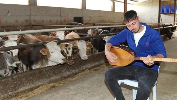 Ankaralı Besici Batuhan'dan Hayvanlara Bağlama Resitali!