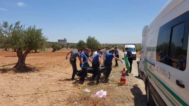 Gaziantep'te Şok Ölüm! Cuma, Zeytin Bahçesinde Can Verdi!