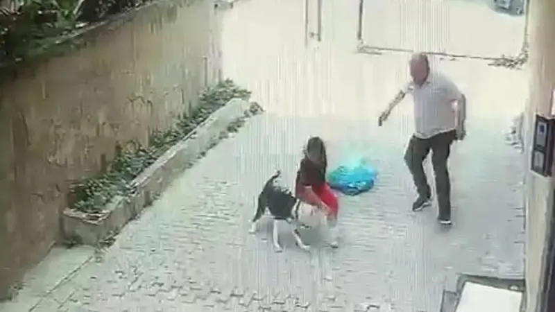 Ataşehir’de pitbull dehşeti: Sokakta oyun oynayan çocuk ölümden döndü!