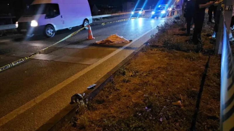 Balıkesir'de Yaşlı Kadına Feci Kaza! Sürücü Kaçtı!