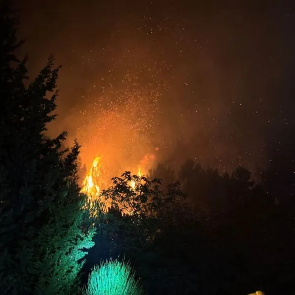 Beykoz'da orman yangını