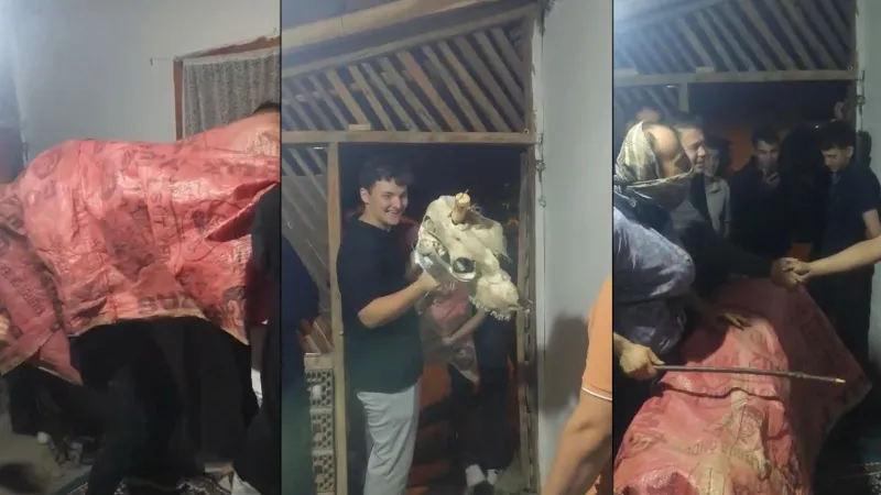 Bolu'da Asırlık Bayram Geleneği: Deve Kılığına Girip Kapı Kapı Dolaşıyorlar!