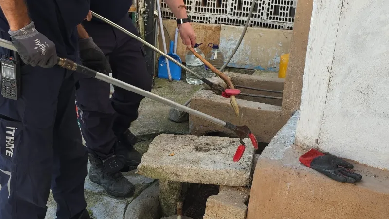 Bursa'da evin bahçesinde yakalandı; doğaya salındı