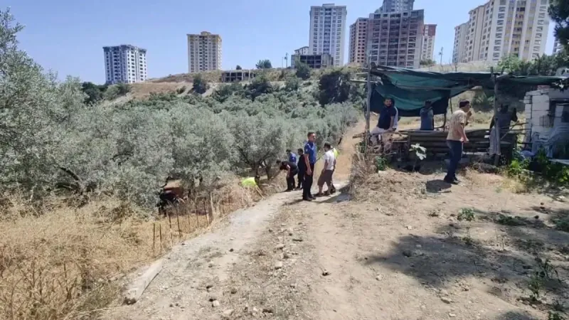 Traktör Faciası! Aydın'da Yaşlı Adam Can Verdi