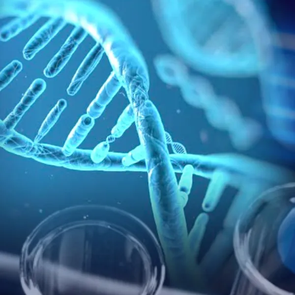 Dünyaca ünlü tıbbi genetik uzmanı Matsumoto: Genetik kodu daha iyi anlarsak o önemli hastalığı yok edebiliriz