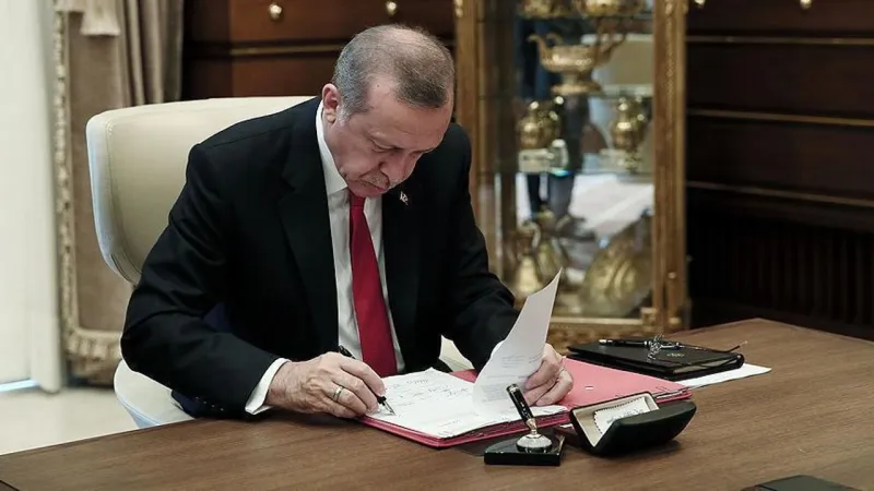 Erdoğan imzaladı: 2 vali yardımcısı ve 9 kaymakam değişti