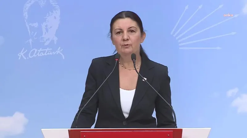 CHP'li Lale Karabıyık Hayatını Kaybetti! Bursa Yasta