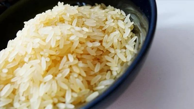Japon Tarım Bakanı'nın Skandal Sözleri İstifayı Getirdi!