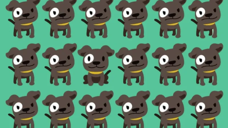 Zeka Testi: Farklı Köpeği 6 Saniyede Bul! IQ'n Yüksek mi?