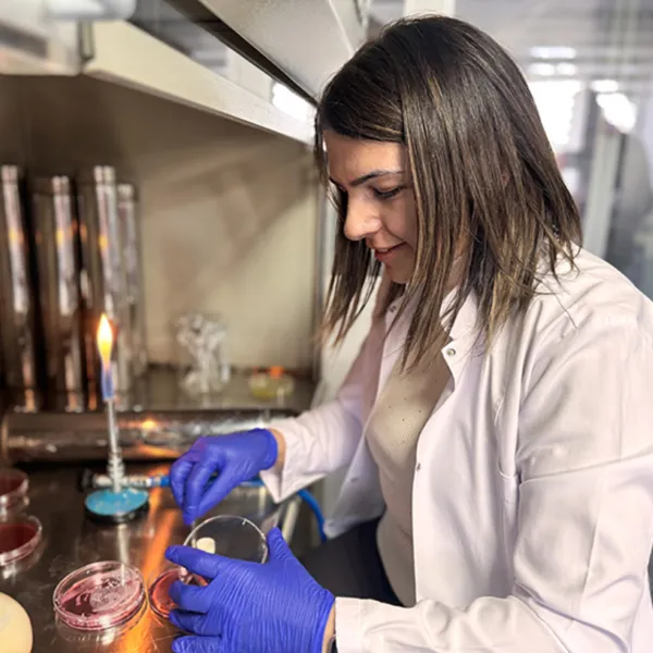 Gıda Bozulması Artık Renkle Anlaşılacak! İşte Yeni Sensör