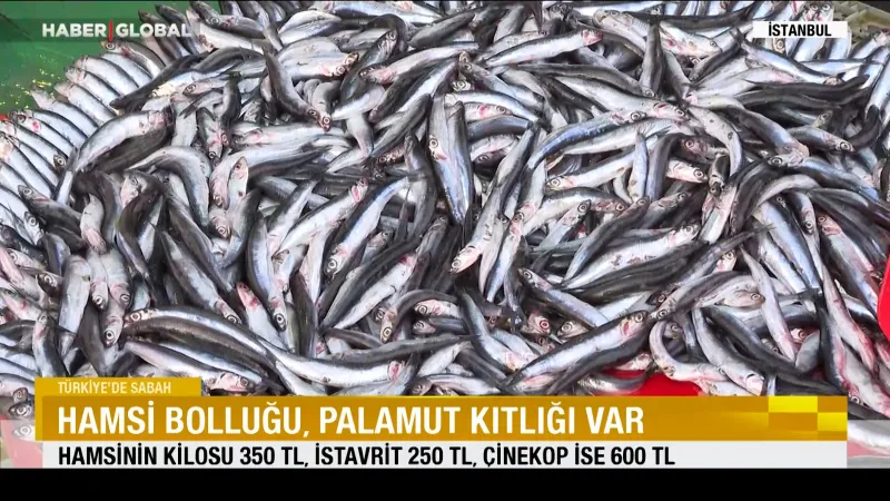 Hamsi Şoku! Fiyatlar Çakıldı, Palamut Nerede?
