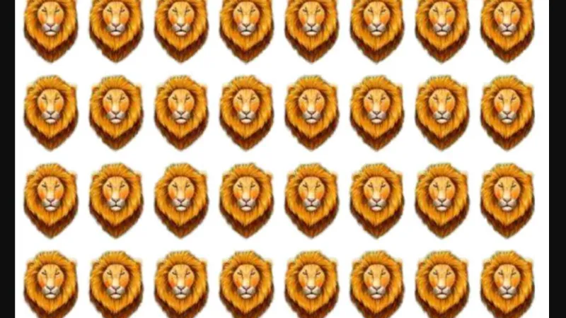 Aslanları Bul, IQ'nu Test Et! Dahiler 6 Saniyede Çözüyor