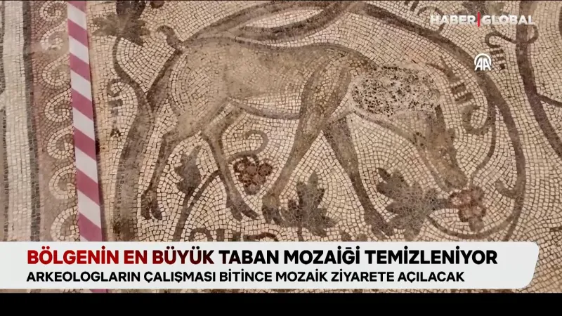 Perre Antik Kenti'nden Mozaik Şöleni! Tarih Yeniden Canlanıyor