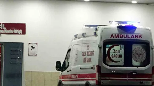 Köpeğin saldırısından korkup kaçan çocuğa otomobil çarptı