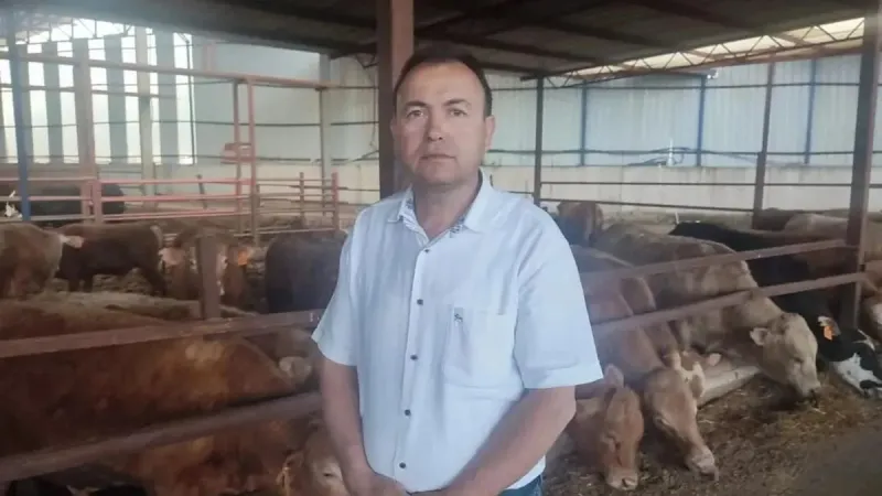 Manisa’da akılalmaz ölüm! Kurbanlık dananın fotoğrafını çekerken boynuz darbesiyle öldü!