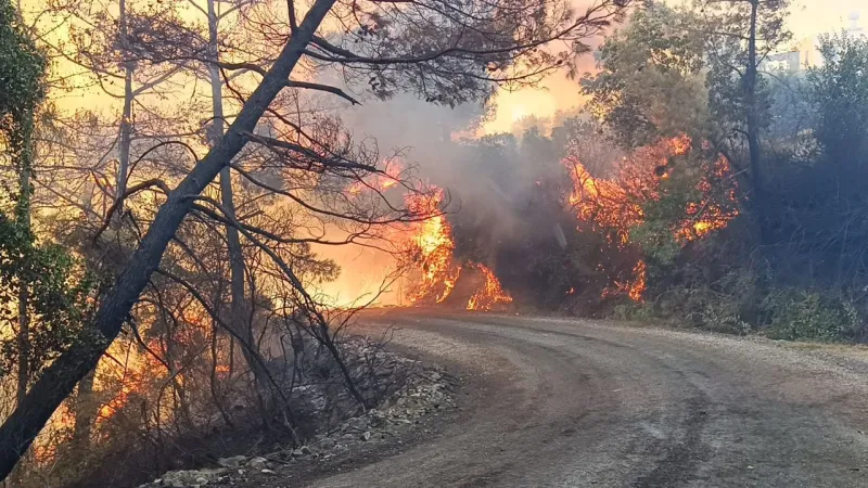 Manisa'nın Turgutlu ilçesindeki orman yangınına neden olan şüpheli tutuklandı