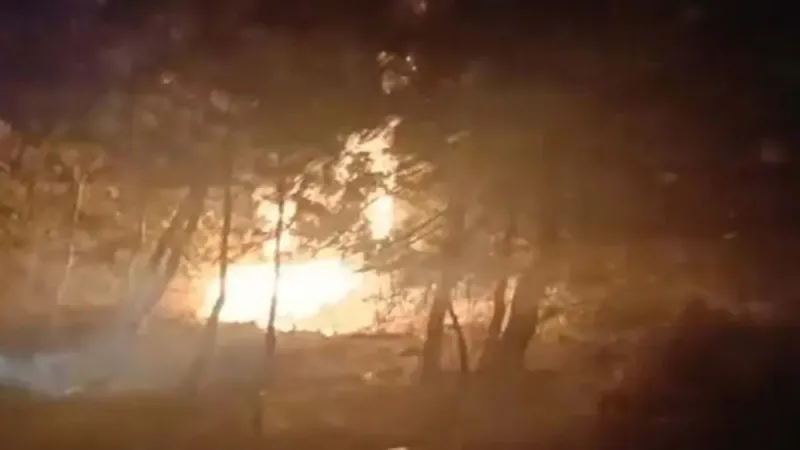 İzmir'de Define Faciası! Orman Yangınına Neden Olanlar Tutuklandı