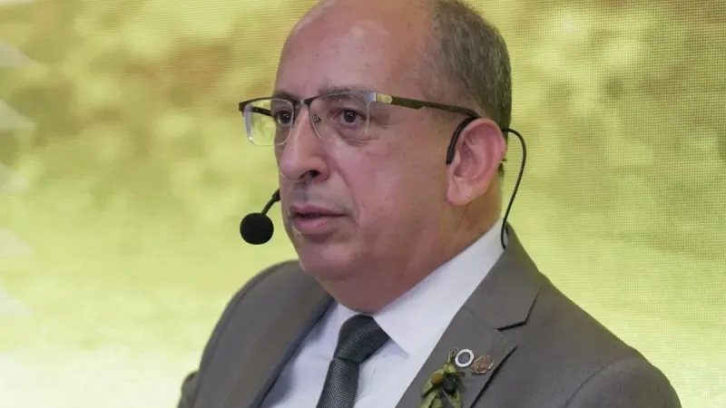 Zeytinlikler Taşınabilir mi? Prof. Dr. Özkaya Açıkladı!