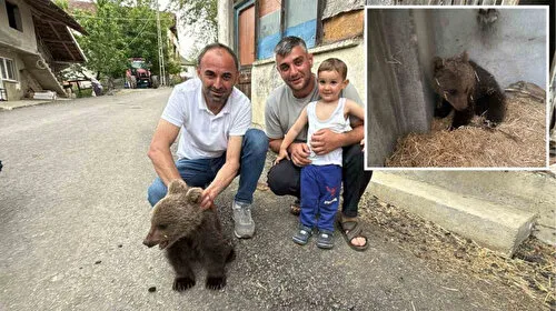 Sinop'ta annesiz bulunan yavru ayı kurtarıldı