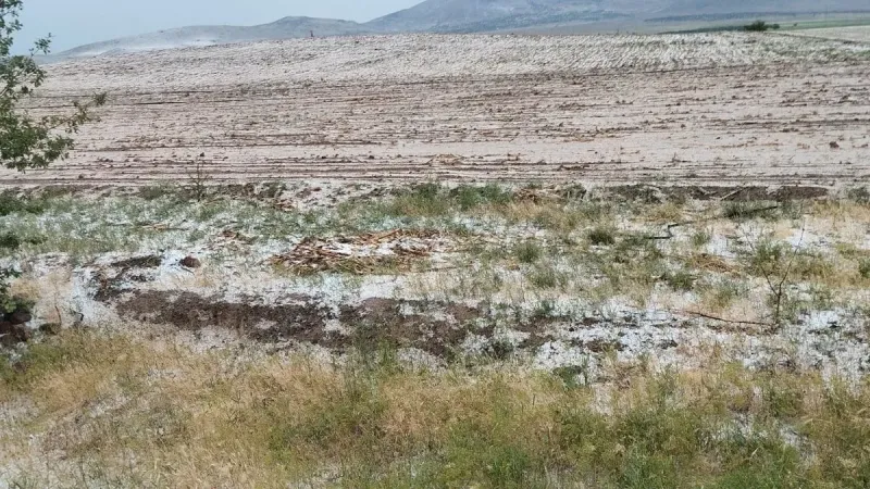Dolu Alarmı! Konya, Aksaray ve Karaman'da Tarım Arazileri Perişan