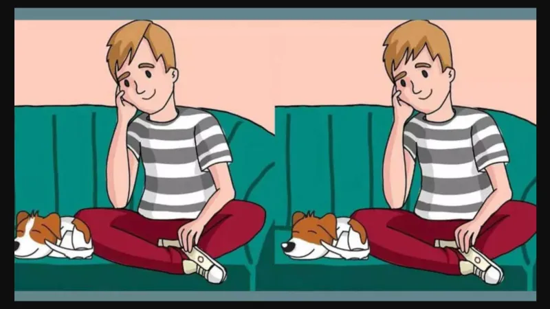 Uyuyan köpeğini izleyen iki adam arasındaki 3 farkı sadece yüksek IQ'su olanlar 14 saniyede buluyor