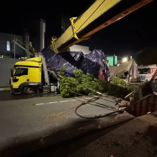 Vinç, TIR'ın üzerine devrildi: 1 yaralı