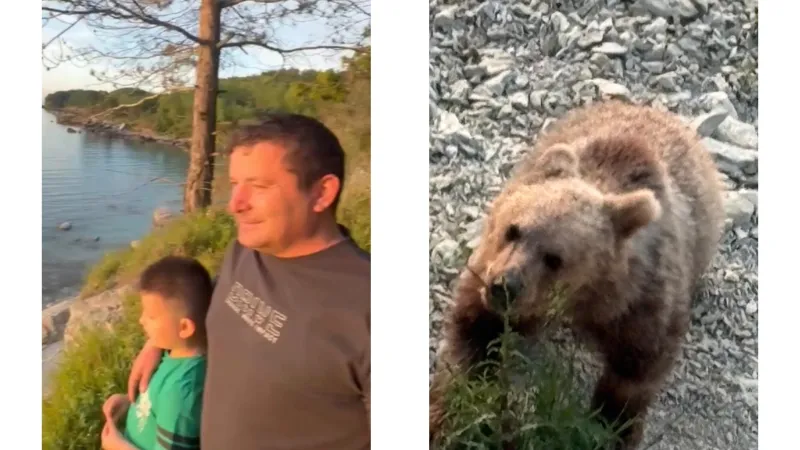 Yavru bozayı sahile indi, vatandaşlar izlemeye gitti